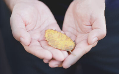 Protocolo de Salvaguarda para personas con discapacidad